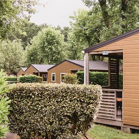 Zelaia אתר קמפינג